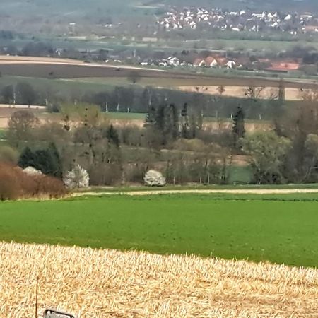Zur Schoenen Aussicht Hamelin Esterno foto
