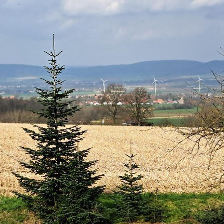 Zur Schoenen Aussicht Hamelin Esterno foto