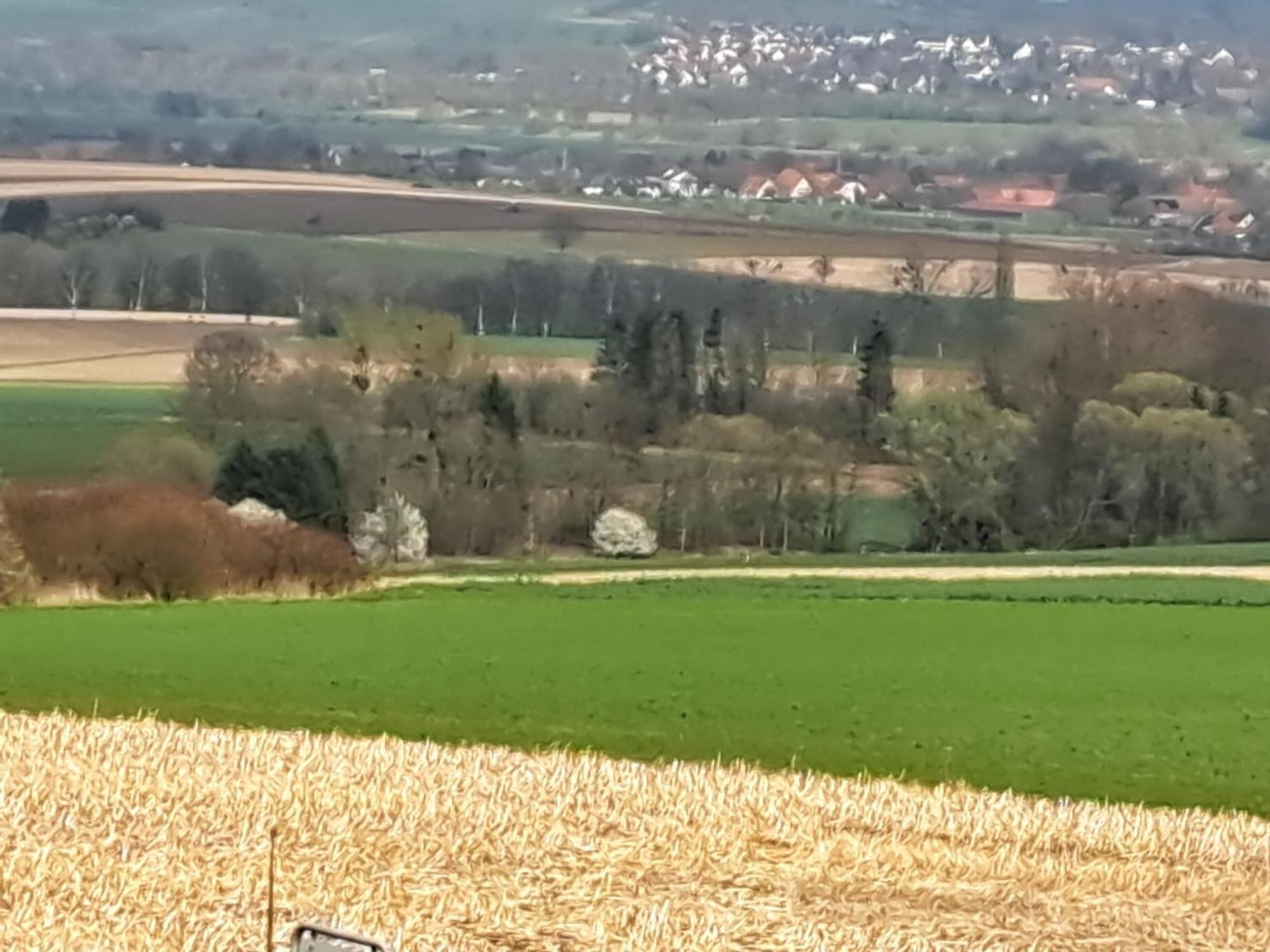 Zur Schoenen Aussicht Hamelin Esterno foto