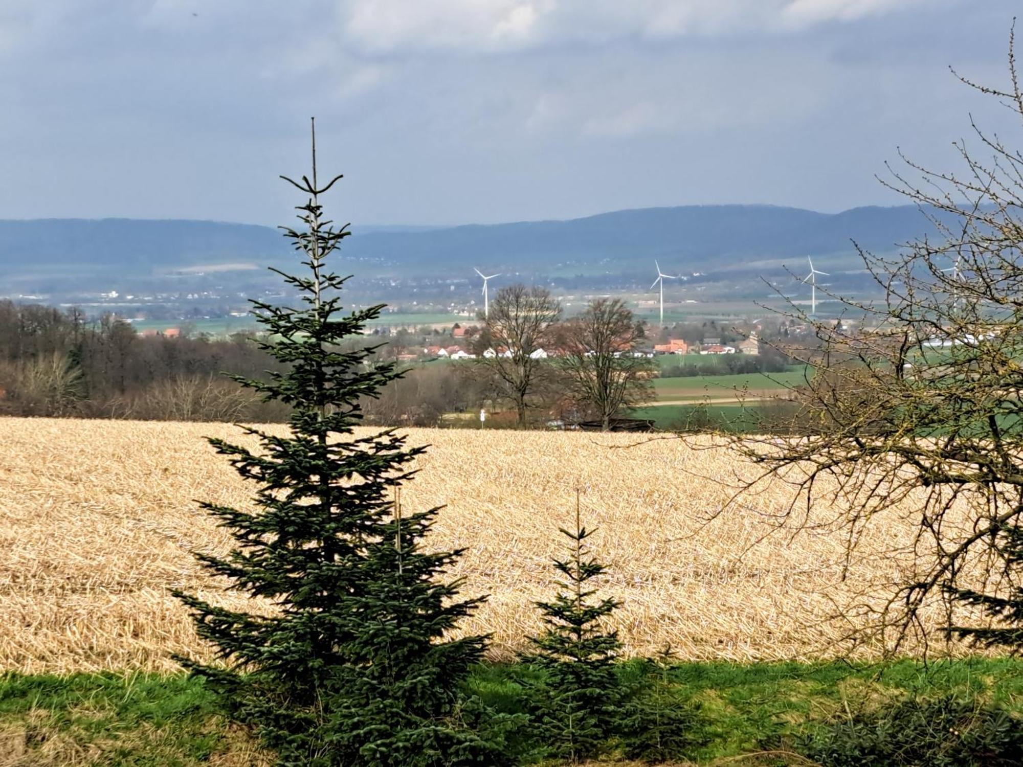 Zur Schoenen Aussicht Hamelin Esterno foto